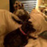 Emilys Cafe and Deli